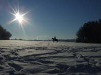 DSCF2974